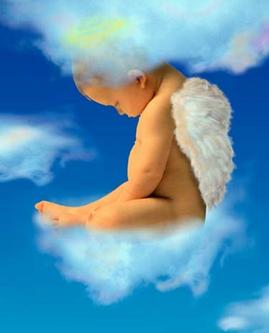 angel - Do you believe in angel? I think they are everywhere.