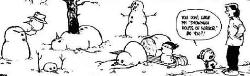 Calvin and Hobbes - Calvin and Hobbes