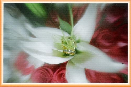 our wedding ring - i really love this photo, not just becuase its our wedding ring but becuase it was a nice photo as well, the photographer is very artistic and it turns out to be very beautiful picture