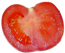 Tomato - Tomato picture