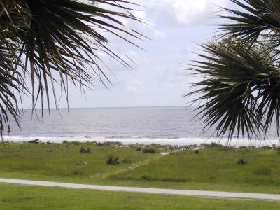 Beach on Jekyll Island  - This photo is over looking one of the bike trails on a nearby island.