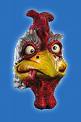 Crazy Chicken!!! - I will never look at a chicken the same again