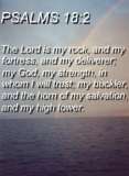Psalms - Wonderful words of praise and reminders of God's awesome Promises!