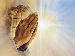 Prayer - Our wonderful talk with God.
