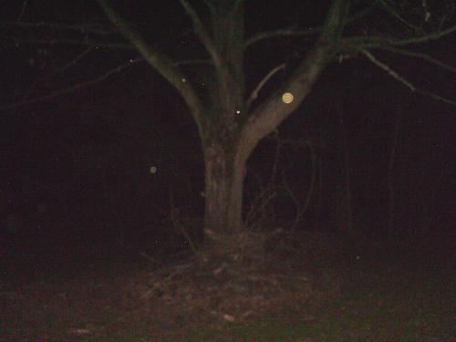 Orbs - On a ghost hunting expedition, this is one of my orb pics....