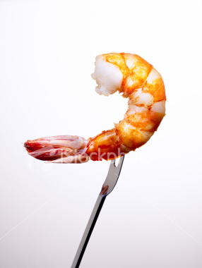 shrimp - shrimp on skewer.
