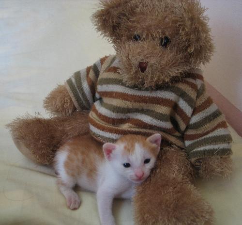 mimi... - my little mimi...