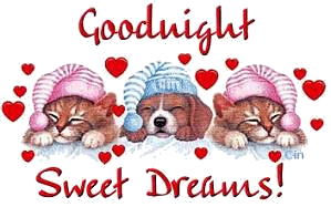 Dog and Cats Sleeping - Good Night Sweet Dreams dog and two cats sleeping in their night hats.