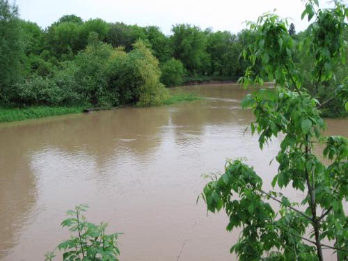 flooding on Sheboygan River - After days of rains, the Sheboygan River was about to run over. The water level came up and flooded everything.