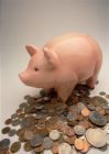 piggy bank - I think that it is a good idea to teach our kids how to save money ever since they are young.