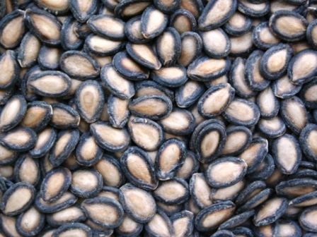 melon seeds - chinese snack food
