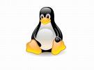 linux logo - Picture is symbol of linux logo
