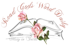 Bible graphic - A Bible graphic, with a pink rose, 'Read God's Word Daily' made by my friend Misty in Texas.