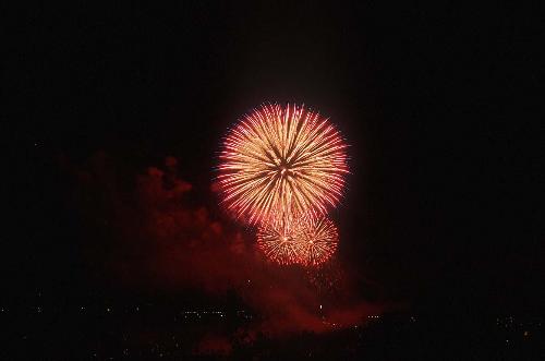 fireworks - fireworks in the night beautiful and vibrant