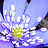 A bright flower depicting goodness - A bright flower in full bloom depicting a wonderful life