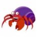 Hermit Crabs - Takes more to care for these little guys then what people think