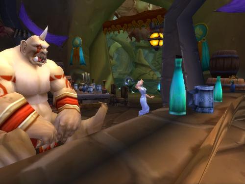 Bar Buddies - A Blood Elf and an Ogre spend time together in the Shattrath tavern.