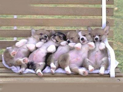 sleeping  - how lovely sleeping posture!