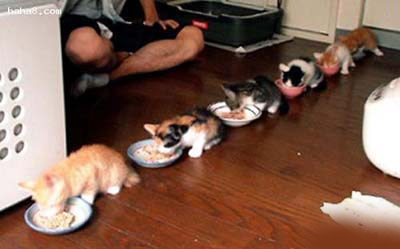 eating - line to eat!