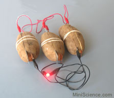potato - make electricity from potato