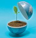 Plant tree - planting tree, will save lives