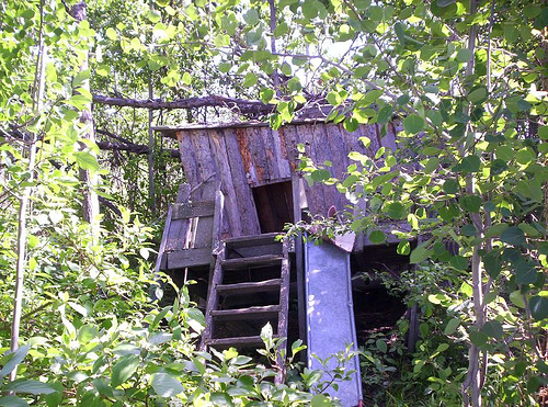 Our treehouse - Our treehouse my mom built us when I was four fell down last summer. It stood for 21 years.