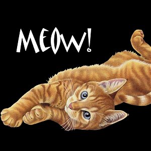 Meow!  - Meow! A Cat stretching!
