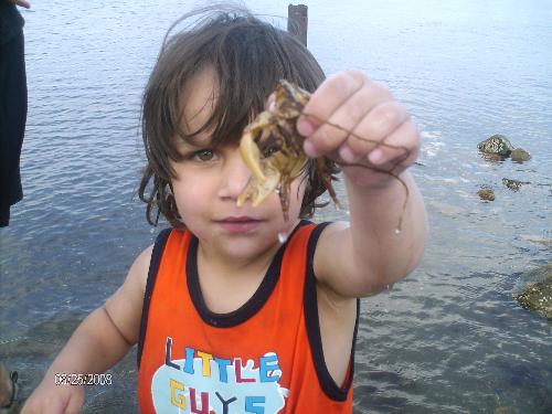 Mikey! - My son at Periwinkle Beach