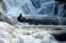 Jamaica - This is a picture of one of the many waterfalls in Jamaica. All the waters in Jamaica are natural, and not man made. I would love to visit there soon especially since my husband was born there.