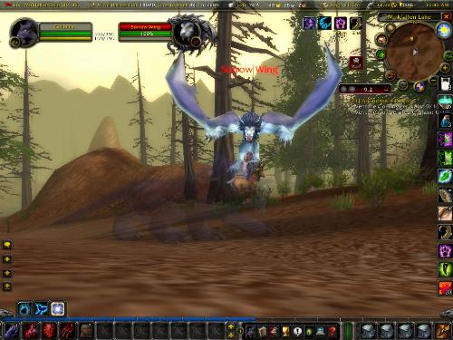 Silver Elite, Sorrow Wing - One of the interesting things about WoW is the rare creatures that pop up. This one was found in Stonetalon Mountains.