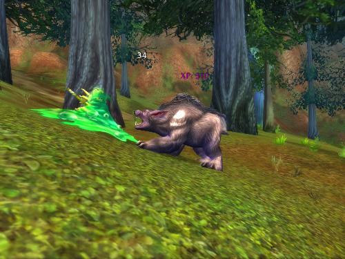 Experience Points - Killing creatures within a certain range of levels gives experience points.