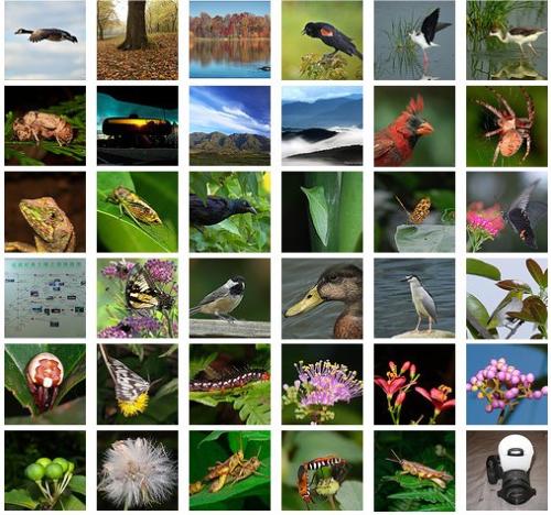 my favorite photos in flickr - I like flickr to see and share many beautiful photos.