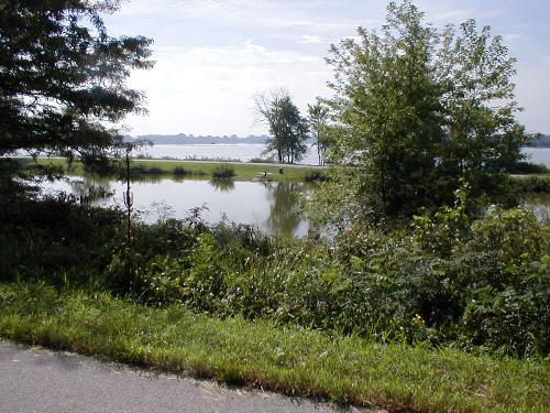 A Shot From the Bike Trail - I took this while bicycling in Illinois. It's a gorgeous trail and this is Horseshoe Lake.