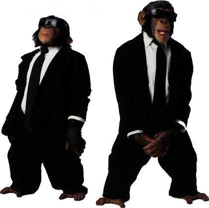 The blues monkeys! - fgj sergn sidofgj sdgj stj The blues monkeys! - fgj sergn sidofgj sdgj stj