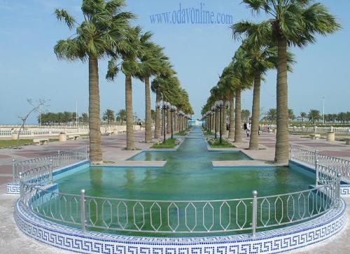 KSA View - Perspective View of Kingdom of Saudi Arabia