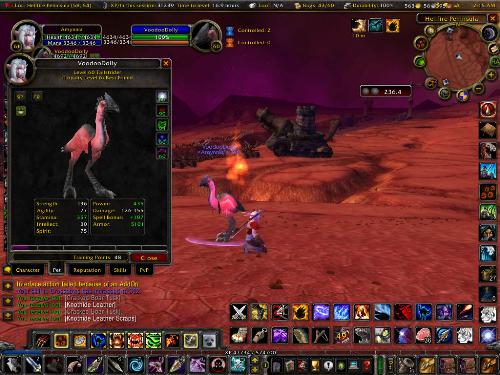 Hunter's Pet - The hunter's pet in WoW has its own status screen and is quite custumizable.