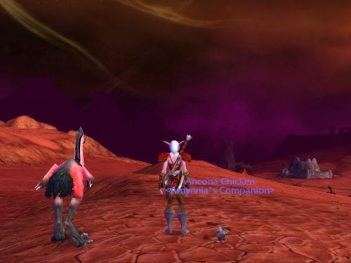 Companion Pets - World of Warcraft allows players to obtain a great deal of companion pets. They do nothing but have much novelty value.