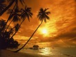 nature - sunset