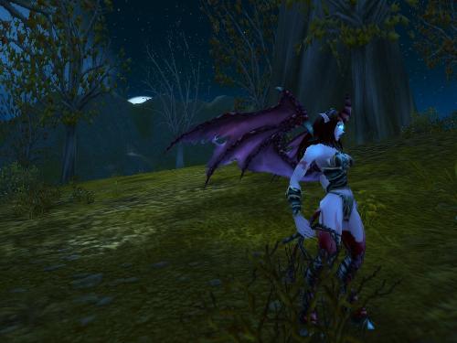 Succubus - Known for their attractiveness, the succubus is one of the warlocks most popular minions, perhaps only for her looks.