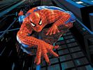 spiderman - see in this photo you can imagine everything about spiderman film