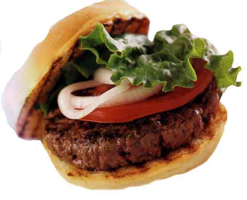 hamburger - burger with veggies