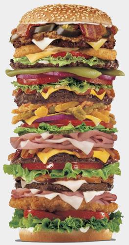 hamburger - high folds of burger.. im just wondering how to eat this high burger!