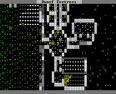Dwarf Fortress - Screenshot of a game in progress