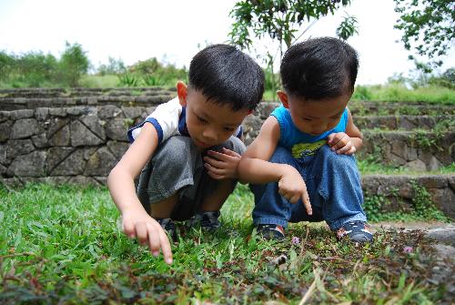 Curious Kids - Fascinated over "Makahiya" Plant