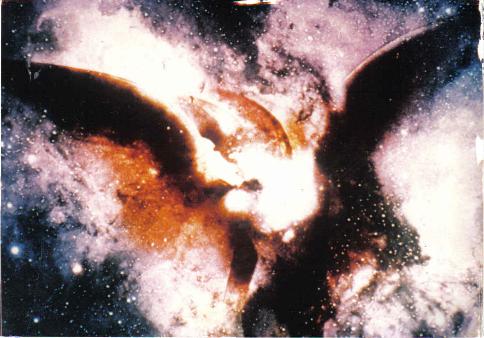 Angel in the night sky. - Angel pictured in the constellations. Making up the night sky.