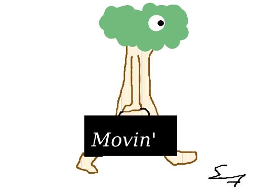 Them plants be movin' - Plants are telling us that global warming is real. They are voting "yes" with their 'feet' by climbing up hill, literally.
Them plants be movin' - Plants are telling us that global warming is real. They are voting "yes" with their 'feet' by climbing up hill, literally.
