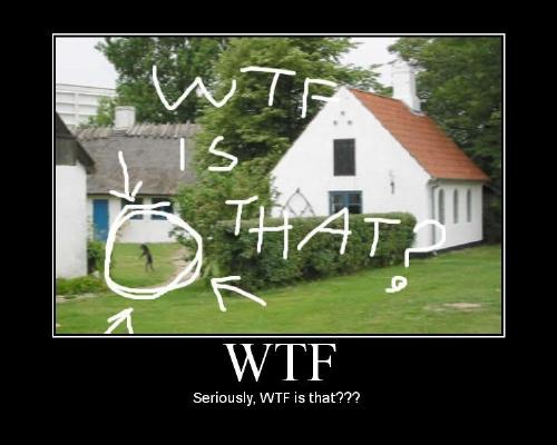 WTF? Is that a dog? - WTF is that? I don't know what that thing is, possibly a dog?