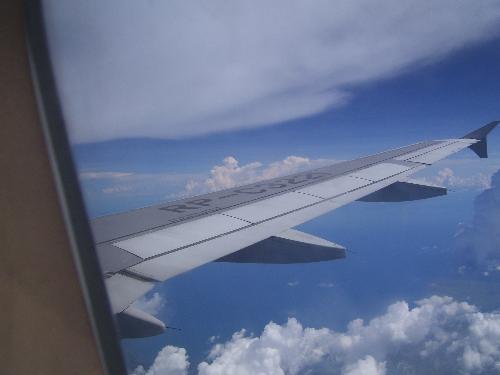 airplane - wing of an airplane