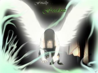 hyuuga neji - fly guy