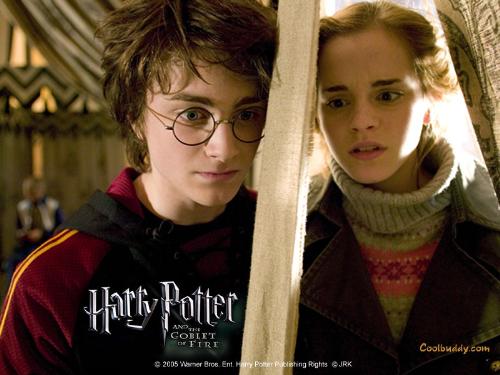 harry potter - goblet of fire!
